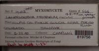 Image Associated With the Occurence